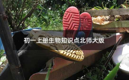 初一上册生物知识点北师大版