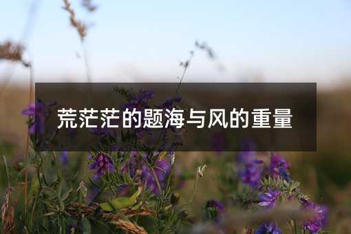 荒茫茫的题海与风的重量