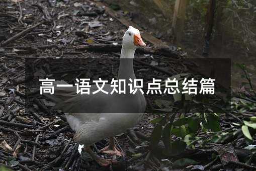 高一语文知识点总结篇