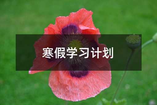 寒假学习计划