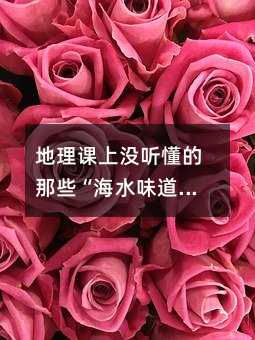地理课上没听懂的那些“海水味道”,其实藏着地球的秘密