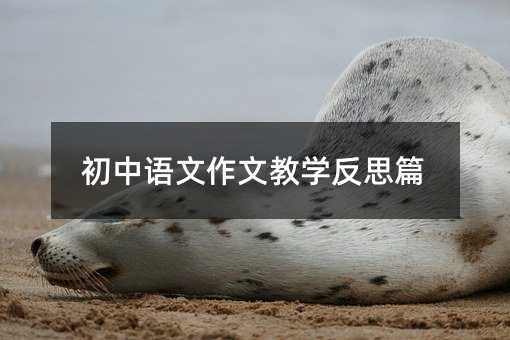 初中语文作文教学反思篇
