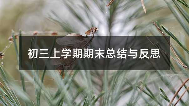 初三上学期期末总结与反思