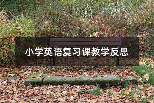 小学英语复习课教学反思