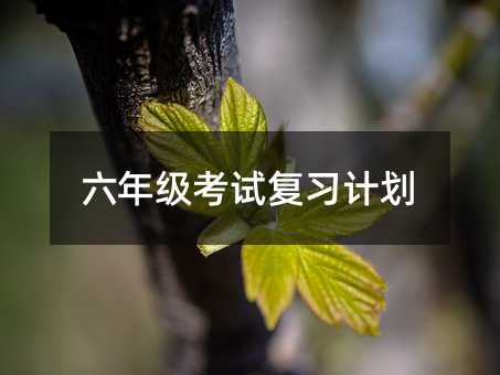 六年级考试复习计划