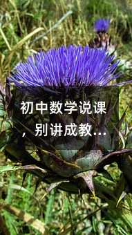 初中数学说课,别讲成教案复读机