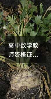 高中数学教师资格证考试内容详解:考什么,怎么准备