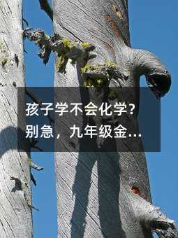 孩子学不会化学?别急,九年级金属部分的真相藏在生活里