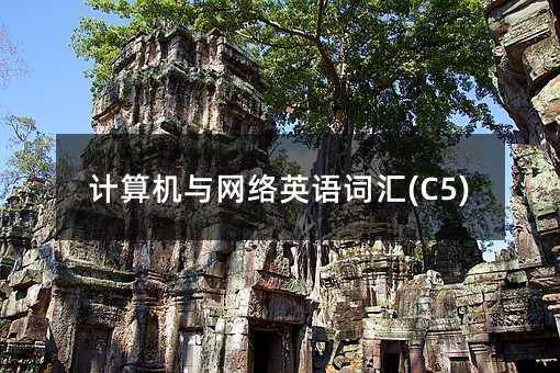 计算机与网络英语词汇(C5)