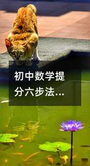 初中数学提分六步法:不靠刷题,靠方法