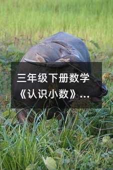 三年级下册数学《认识小数》教学设计三篇