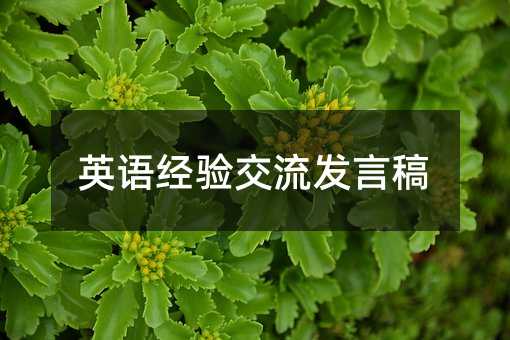 英语经验交流发言稿