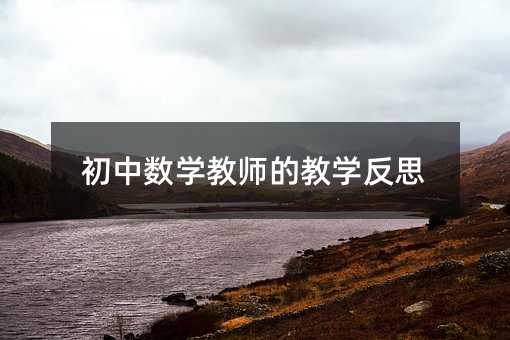 初中数学教师的教学反思