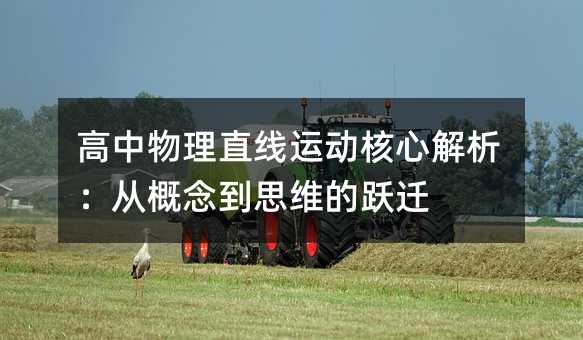 高中物理直线运动核心解析:从概念到思维的跃迁