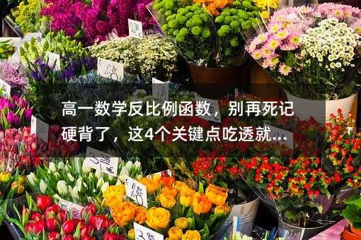 高一数学反比例函数,别再死记硬背了,这4个关键点吃透就够了