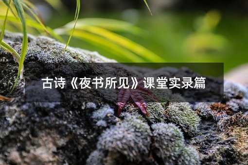 古诗《夜书所见》课堂实录篇