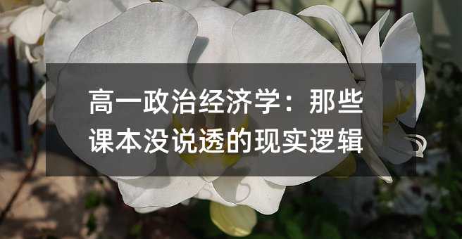 高一政治经济学:那些课本没说透的现实逻辑