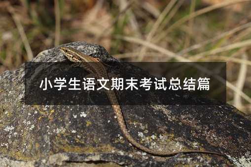 小学生语文期末考试总结篇
