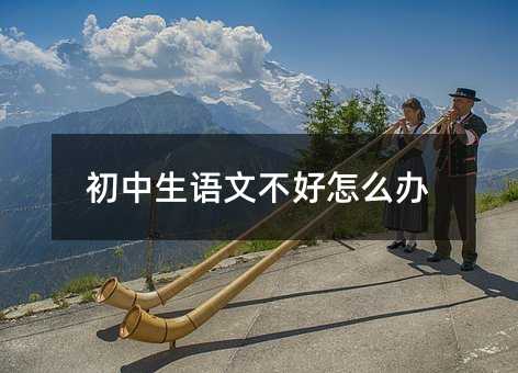 初中生语文不好怎么办