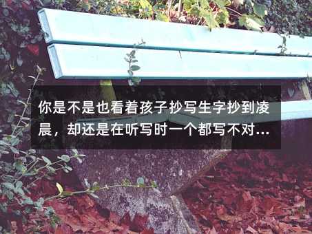 你是不是也看着孩子抄写生字抄到凌晨,却还是在听写时一个都写不对?很多家长问我:“为什么我家孩子背课文像在啃石头,越背越堵?”孩子一学就哭,不是懒,是你的方法在帮他关闭大脑的接收器。