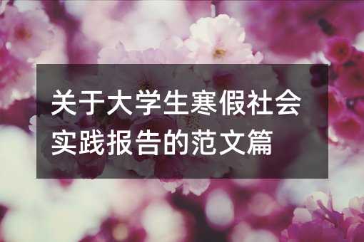 关于大学生寒假社会实践报告的范文篇