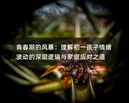 青春期的风暴:理解初一孩子情绪波动的深层逻辑与家庭应对之道
