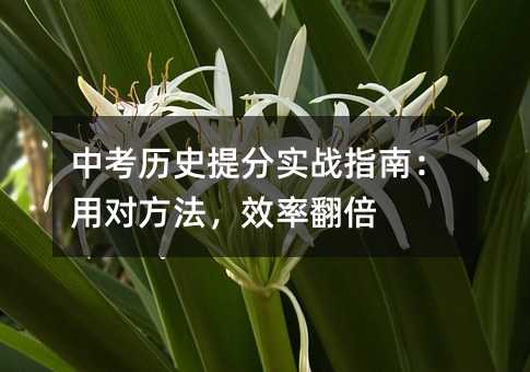中考历史提分实战指南:用对方法,效率翻倍