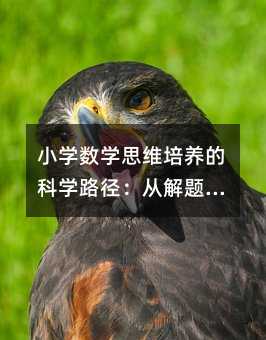 小学数学思维培养的科学路径:从解题技巧到生活化实践