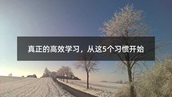 真正的高效学习,从这5个习惯开始
