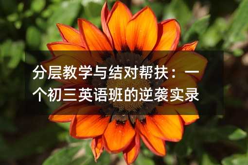 分层教学与结对帮扶:一个初三英语班的逆袭实录