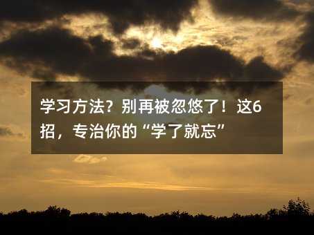 学习方法?别再被忽悠了!这6招,专治你的“学了就忘”