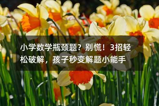 Сѧѧƿ⣿ţ3ƽ⣬С