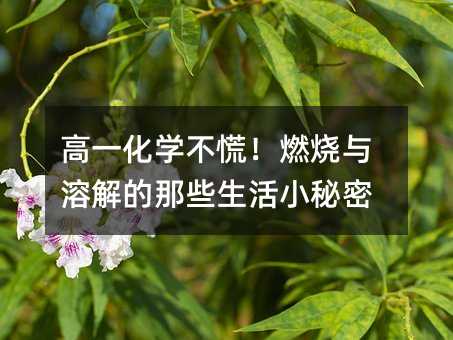 高一化学不慌!燃烧与溶解的那些生活小秘密