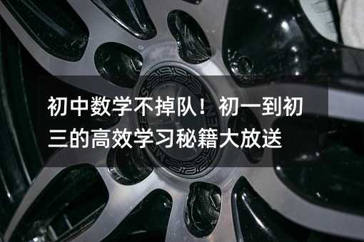 初中数学不掉队!初一到初三的高效学习秘籍大放送