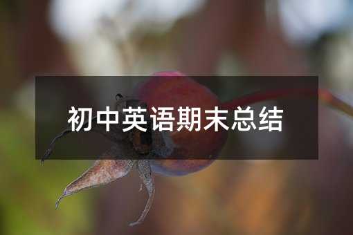 初中英语期末总结