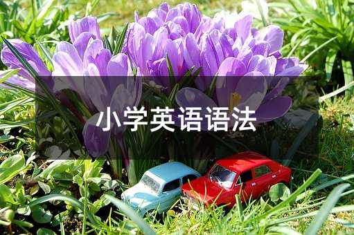 小学英语语法