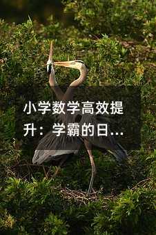 小学数学高效提升:学霸的日常习惯与思维跃迁实战指南