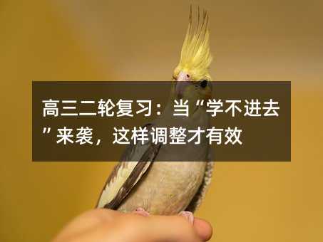 高三二轮复习:当“学不进去”来袭,这样调整才有效