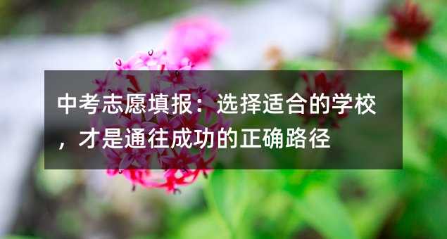 中考志愿填报:选择适合的学校,才是通往成功的正确路径