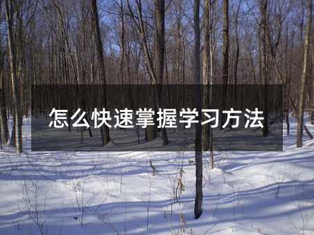 怎么快速掌握学习方法