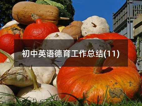 初中英语德育工作总结(11)