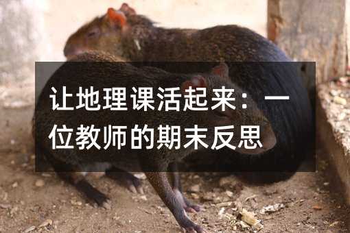 让地理课活起来:一位教师的期末反思