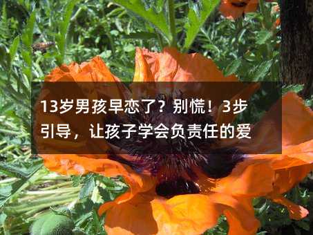 13岁男孩早恋了?别慌!3步引导,让孩子学会负责任的爱