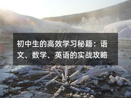 ĸЧѧϰؼġѧӢʵս