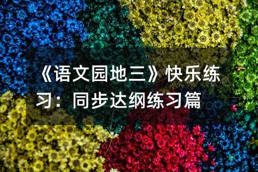 《语文园地三》快乐练习:同步达纲练习篇