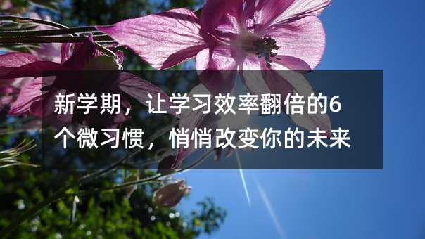 新学期,让学习效率翻倍的6个微习惯,悄悄改变你的未来