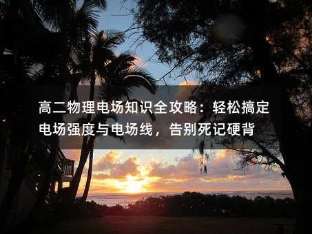 ߶糡֪ʶȫԣɸ㶨糡ǿ糡ߣӲ