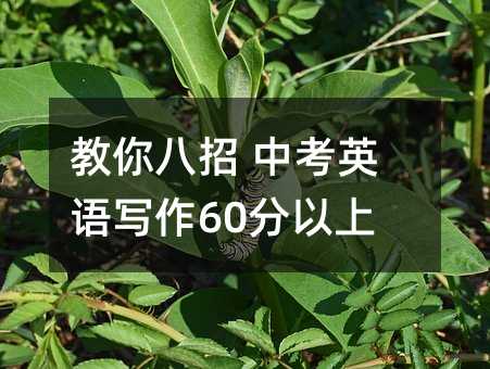 教你八招 中考英语写作60分以上