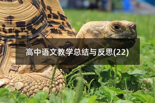 高中语文教学总结与反思(22)