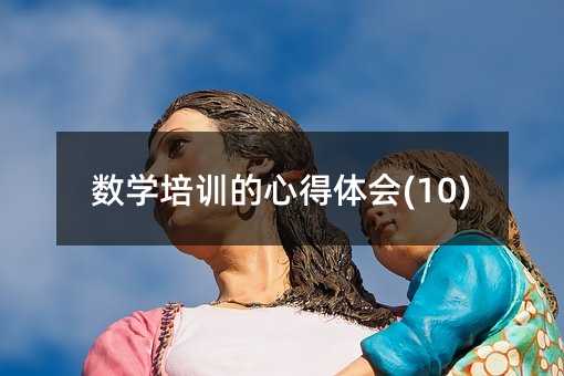 数学培训的心得体会(10)